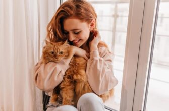 Этологи из Франции выяснили, как правильно вести себя с кошкой, чтобы она вас полюбила