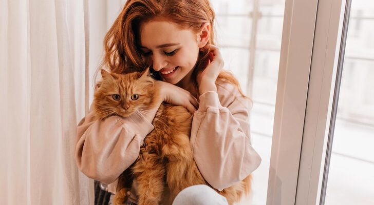 Этологи из Франции выяснили, как правильно вести себя с кошкой, чтобы она вас полюбила