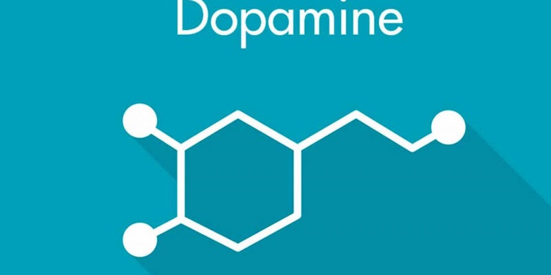Регуляция мотивации с помощью дофамина