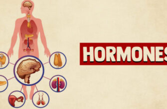 4 гормона, влияющих на твое настроение