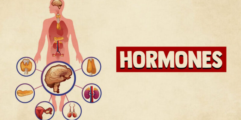 4 гормона, влияющих на твое настроение