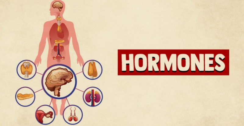4 гормона, которые влияют на ваше настроение
