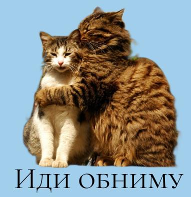 Книга, которая поможет вам быть добрее к себе