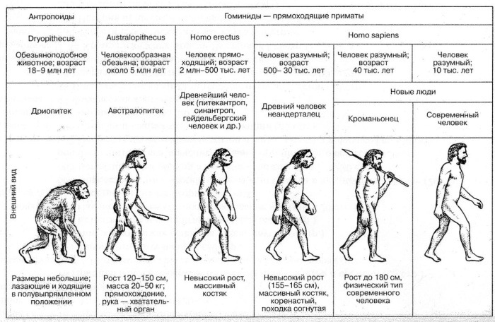Почему эволюция игнорировала женщин?!