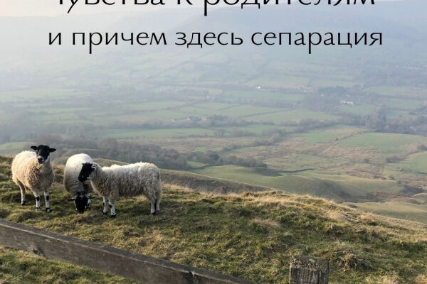 Чувства к родителям и причем здесь сепарация