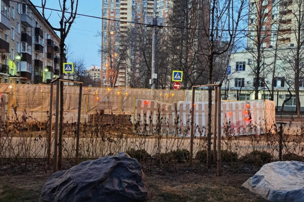 Логика VS чувства