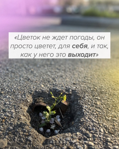 Победить родителей