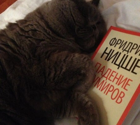 Внутренняя жизнь «книжных червей»
