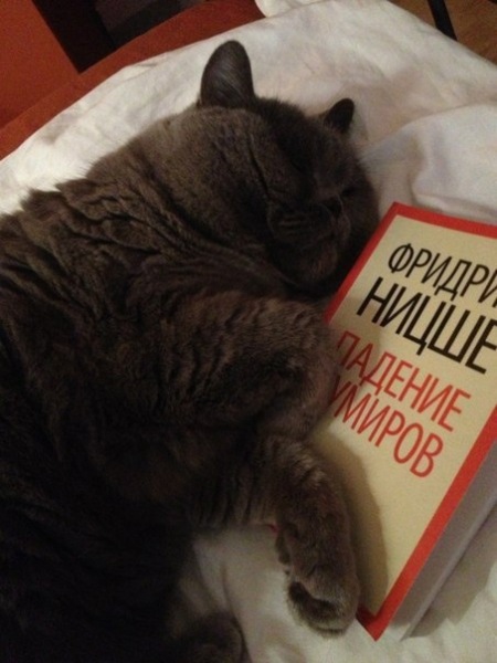 Внутренняя жизнь «книжного червя