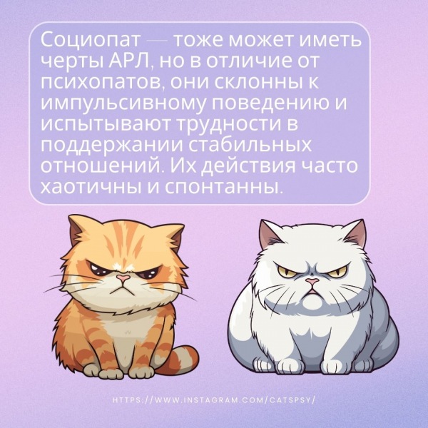Психопатия, антисоциальность и антисоциальное расстройство личности: различия, сходства и понимание