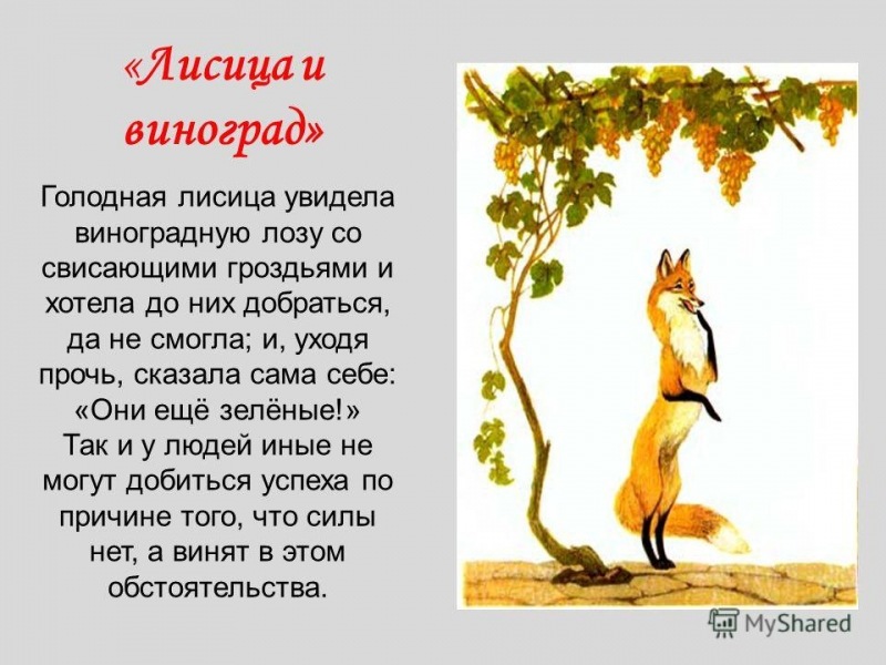 Самораскрытие или профориентация для взрослых (Часть 5)
