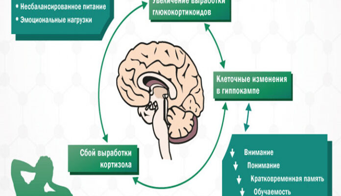 Как психологическая травма влияет на мозг и тело? Нейробиология травмы.