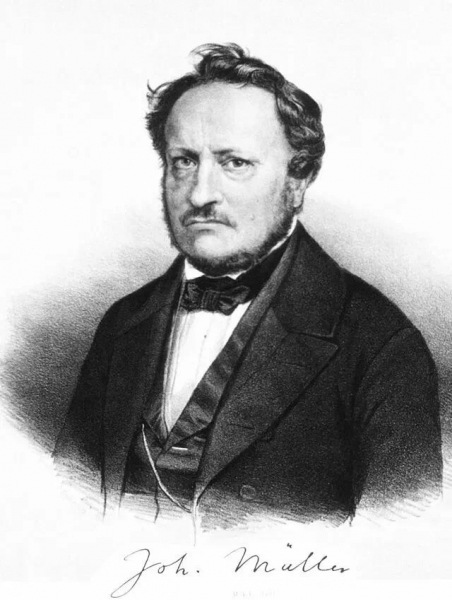 Попытки Иоганнеса Мюллера (1801-58 гг) объяснение психологии через физику