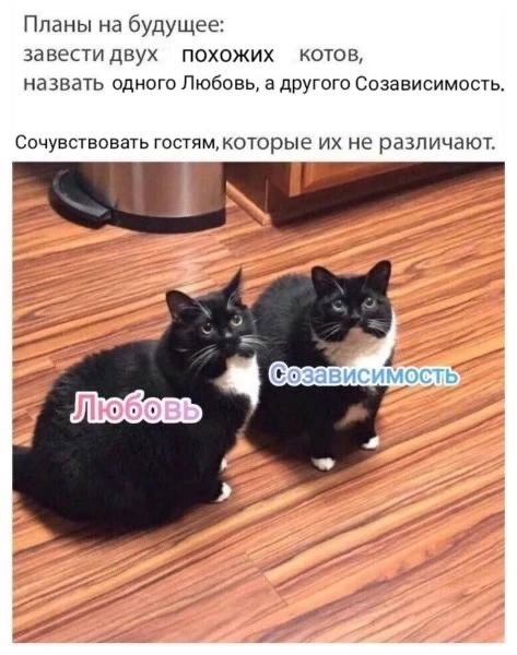 взаимозависимость. Как нам отказаться от себя.