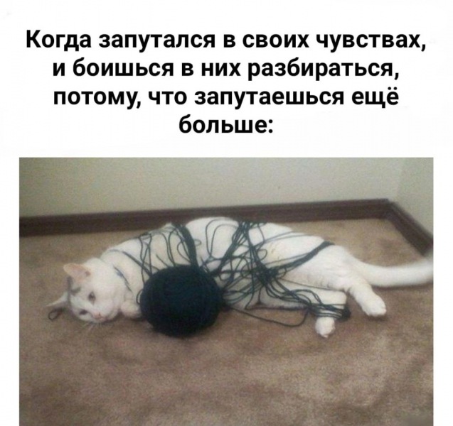 взаимозависимость. Как нам отказаться от себя.