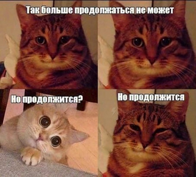 взаимозависимость. Как нам отказаться от себя.