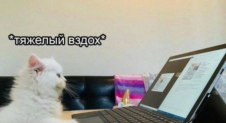 То, чего клиенты психолога не любят больше всего и стараются избегать. Или ещё немного о фрустрации