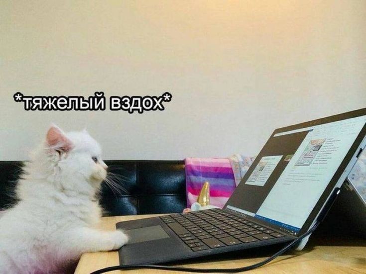 Что клиенты психолога больше всего не любят и стараются избегать или еще о разочаровании