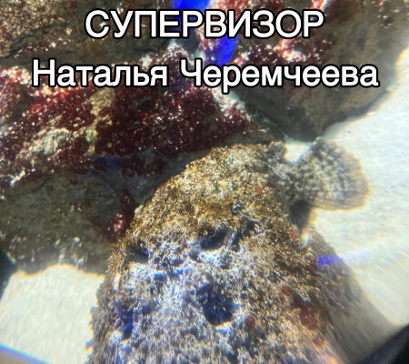 Уместность силы