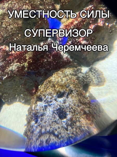 Актуальность силы