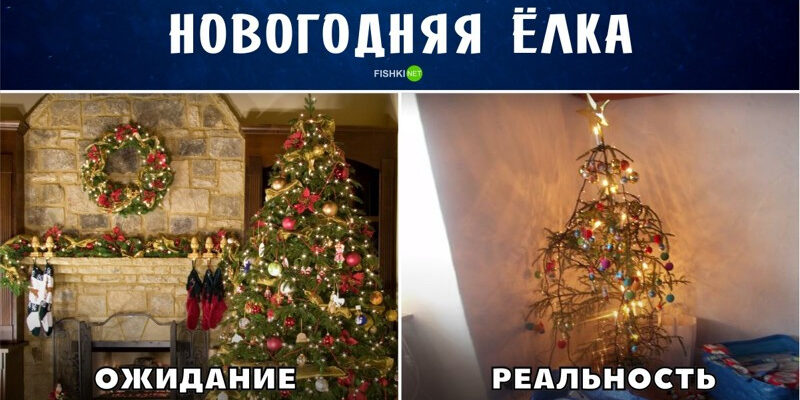 Ожидание и реальность: критический взгляд на новогодние тренды