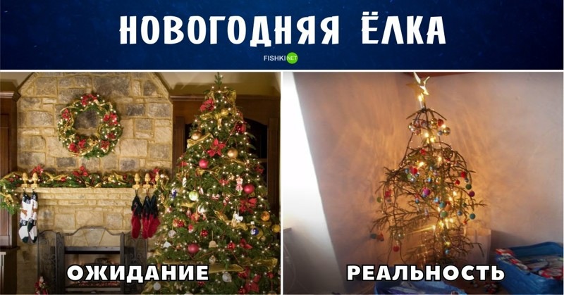 Ожидание и реальность: пристальный взгляд на новогодние тренды