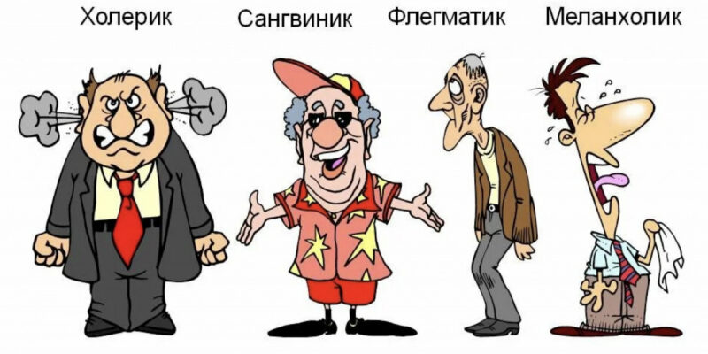 Темперамент и психотип не изменить!