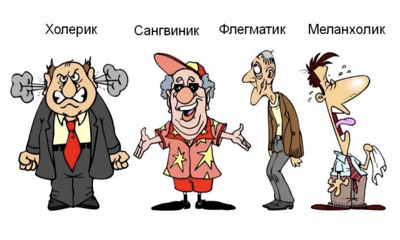 Темперамент и менталитет изменить невозможно!
