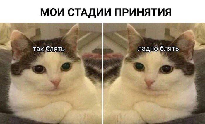 Что означает «принять