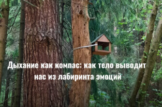 Дыхание как компас: как тело выводит нас из лабиринта эмоций