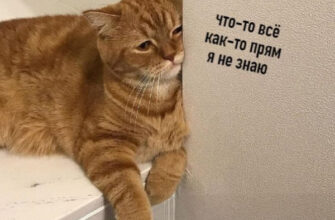Ох, сколько хороших специалистов погубило это блоггерство...