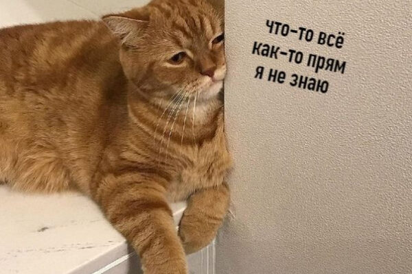 Ох, сколько хороших специалистов погубило это блоггерство...