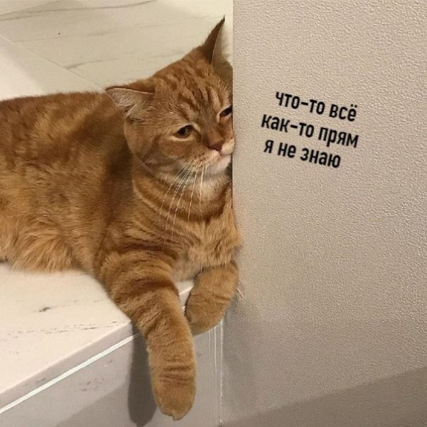 Ох, сколько хороших профессионалов было погублено этим блогом...
