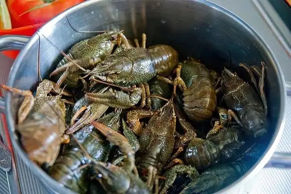 Как друзья формируют наш успех, счастье и даже уровень дохода.