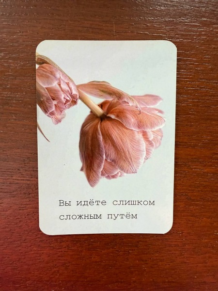 Отрицательное отношение. Невозможное возможно.