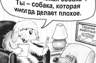 Отправить внутреннего критика в отпуск!